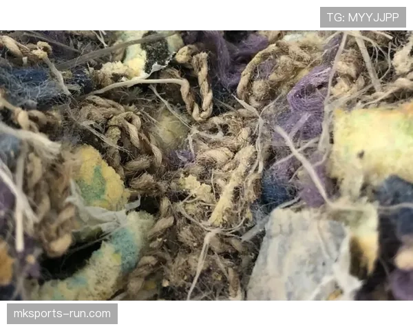 篮球比赛中判定回场违例的规则与常见误区解析